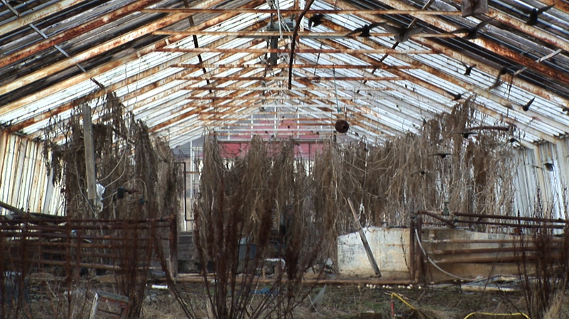 Sigurður Guðjónsson