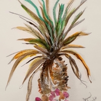 Pálmatré í Los Cristianos / A palm tree in Los Cristianos 