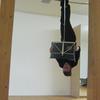 upside down performance